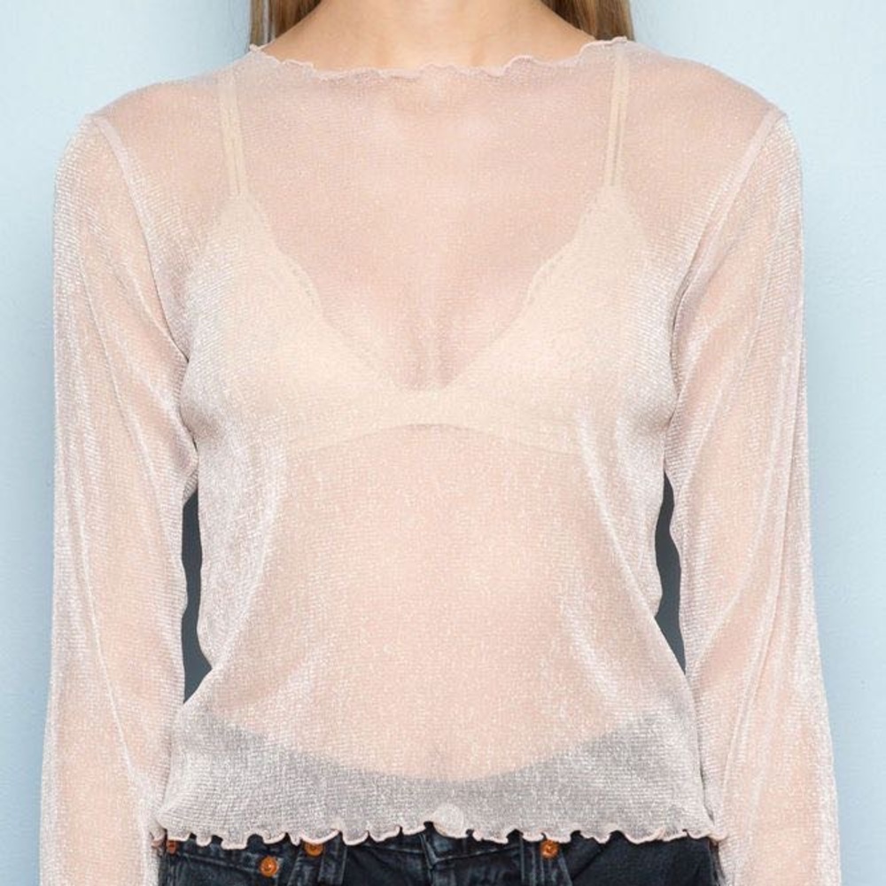 Brandy Melville Sheer Sparkle Long Sleeve top